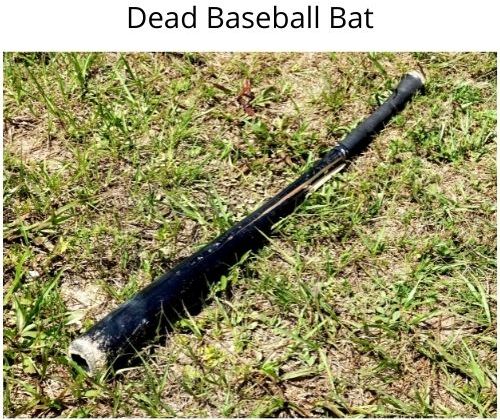 dead baseball bat